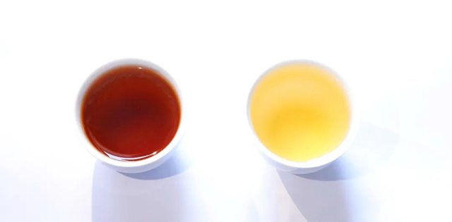 普洱熟茶和生茶汤色对比