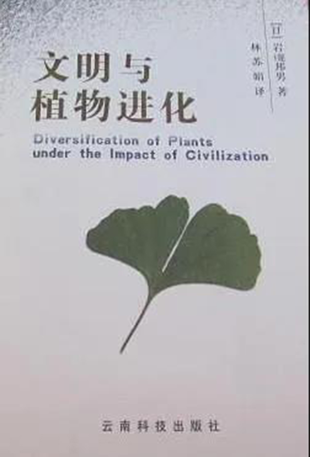 文明与植物进化