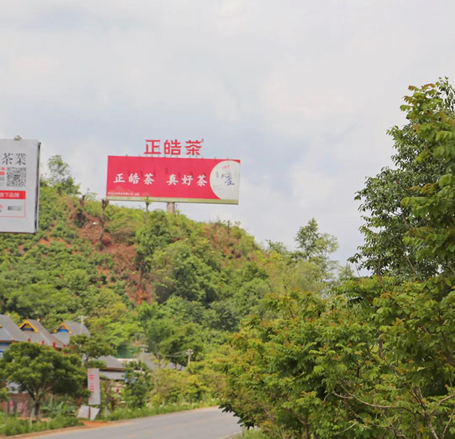 正皓茶茶山行