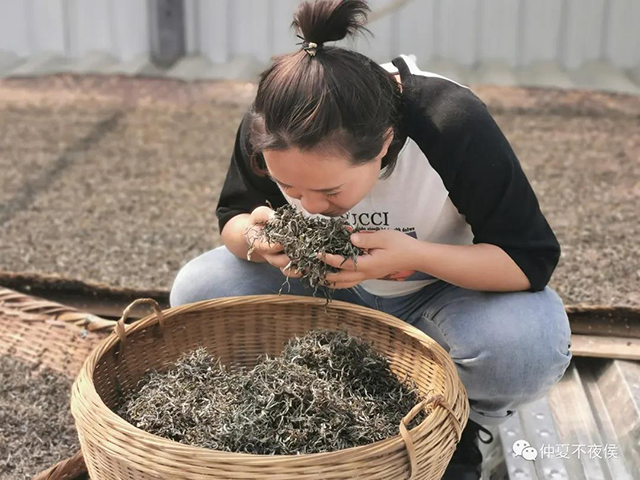 帕沙古茶山