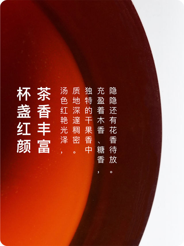 2020年大益春秋大義熟茶