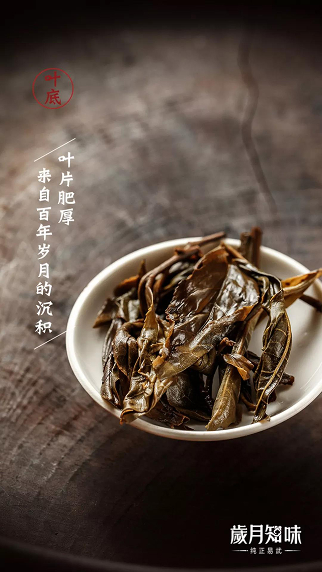 岁月知味易武古韵古树茶