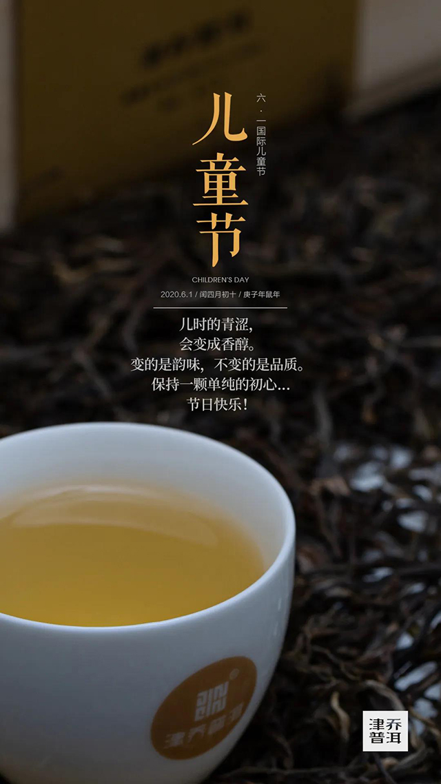 津乔普洱茶