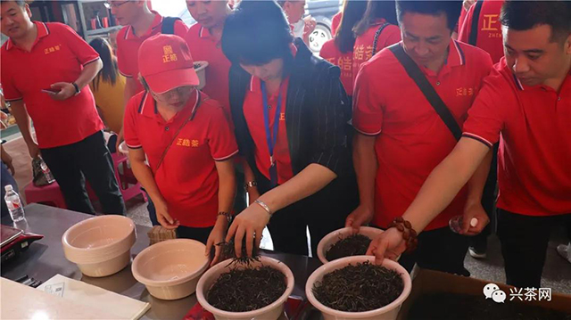 正皓茶云南茶山研学之旅