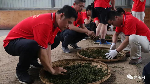 正皓茶云南茶山研学之旅