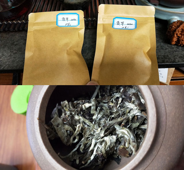 蓝版夜华云南古树茶白茶