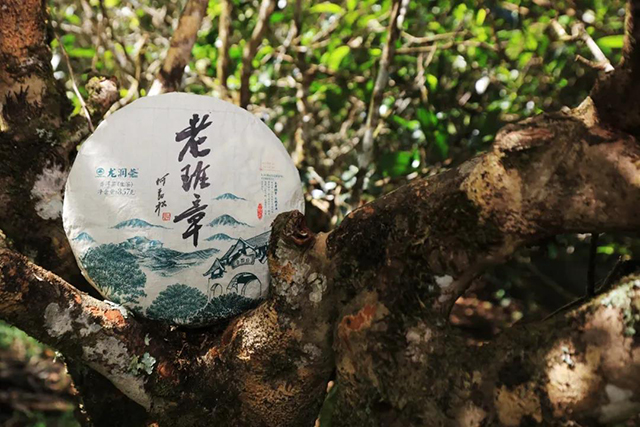 云南龙润茶业老班章普洱茶