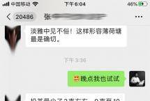 “淡雅见长，喉韵至上”：解锁易武茶王蓝版「2021薄荷塘」小饼风味