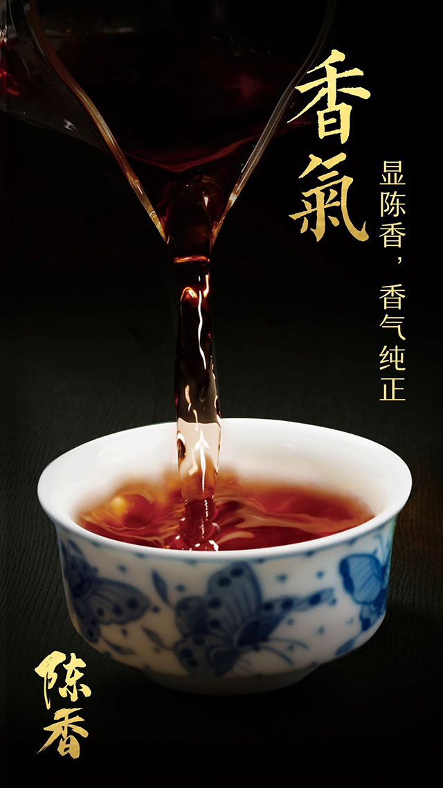 龙润茶陈香普洱茶