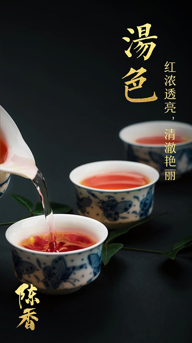 龙润茶陈香普洱茶