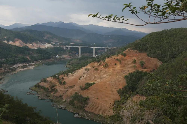 大朝山东镇普洱茶