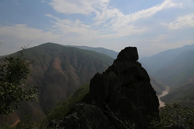 大朝山东镇普洱茶