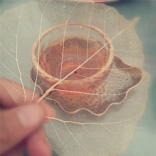 碧禧茶庄普洱茶