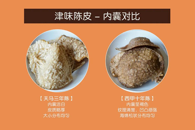 津味陈皮