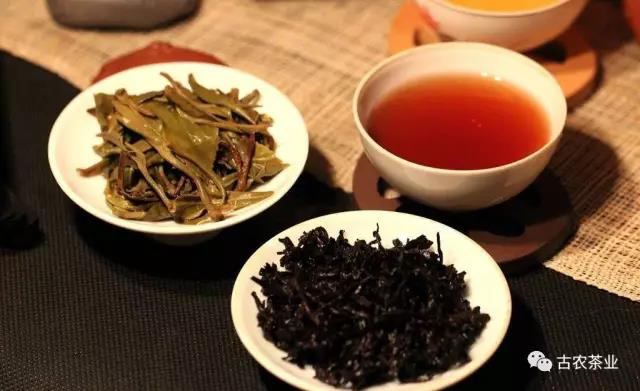 彩农茶普洱茶