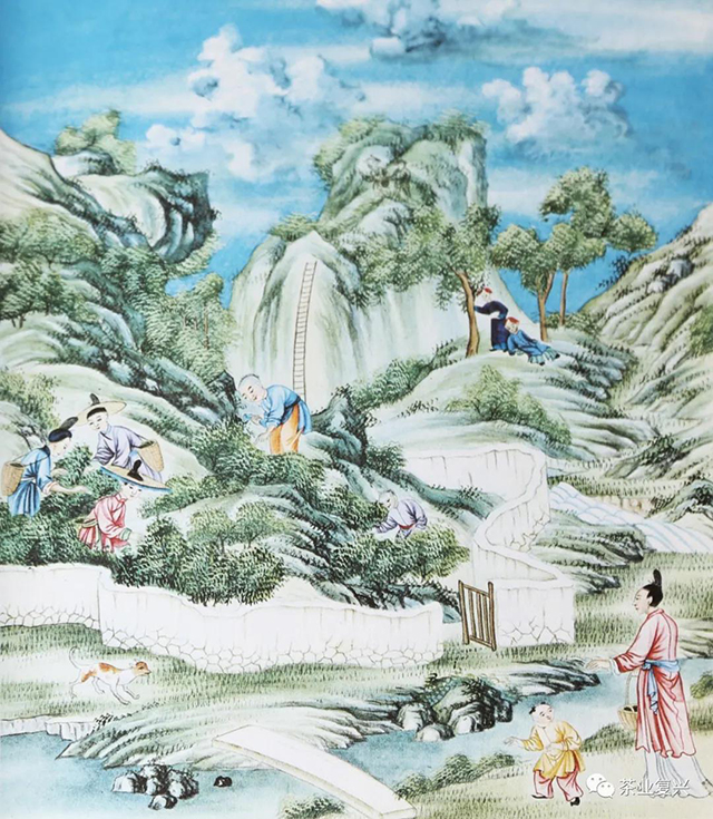 茶之绘12幅清代茶画中的茶业简史