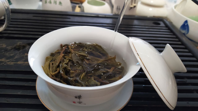 蓝版勐麻河普洱茶