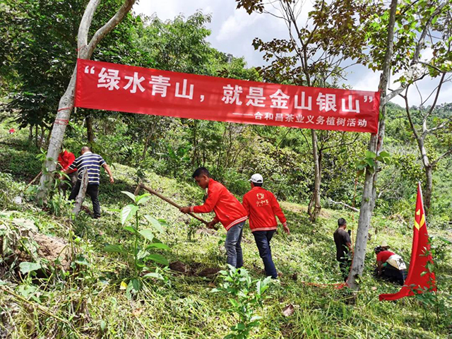 合和昌茶业