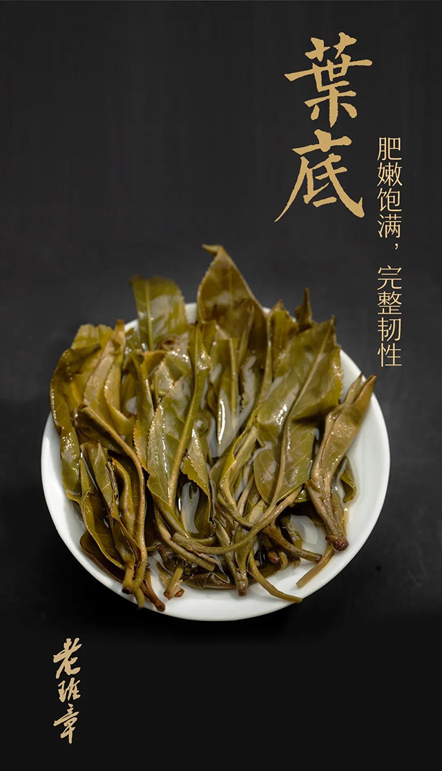 云南龙润茶业老班章普洱茶