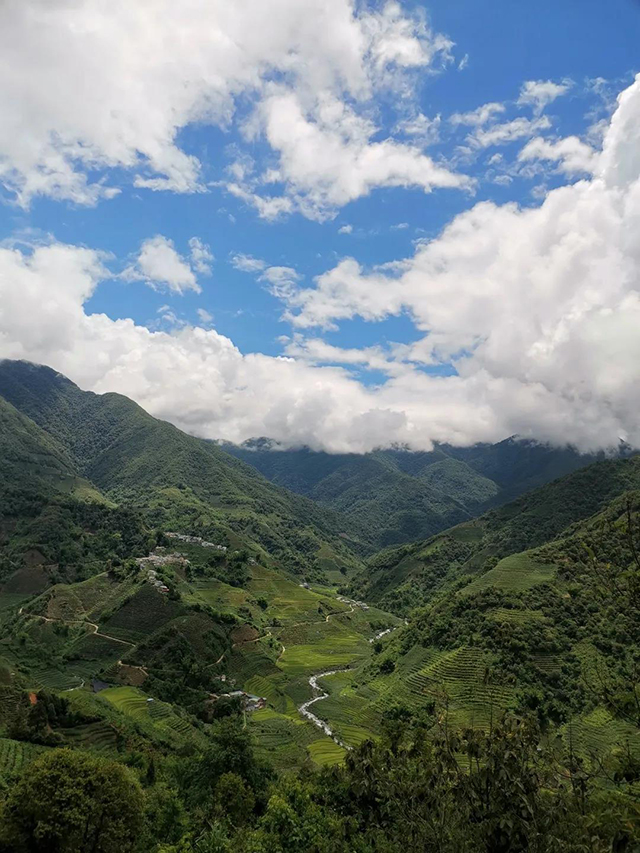 玛玉古茶山