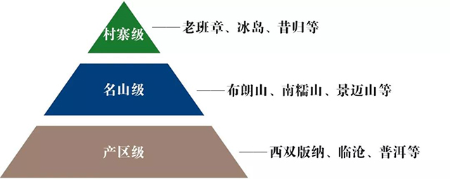 普洱茶的分级体系