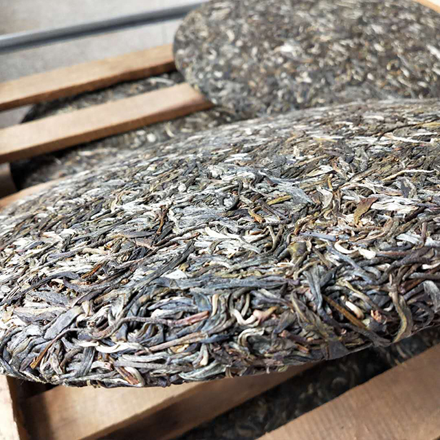 碧禧茶业3公斤古树普洱茶茶饼原料