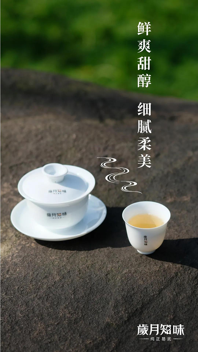 岁月知味易武早春普洱茶生茶