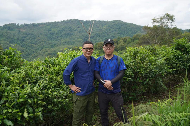 浦睿文化陈垦与茶业复兴周重林在福海茶厂基地