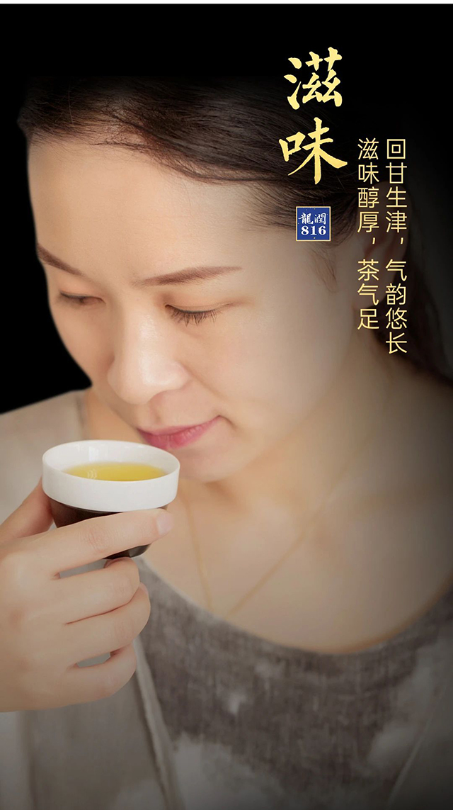 龙润茶龙润816普洱茶