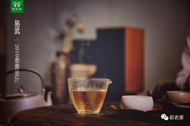 彩农茶普洱茶