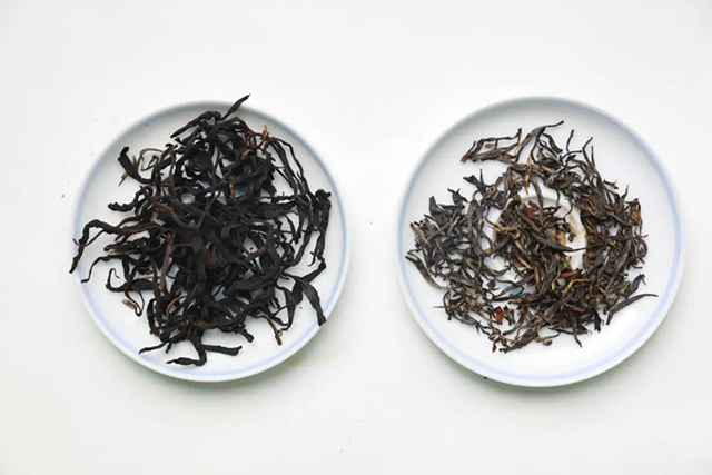 大小叶种红茶对比