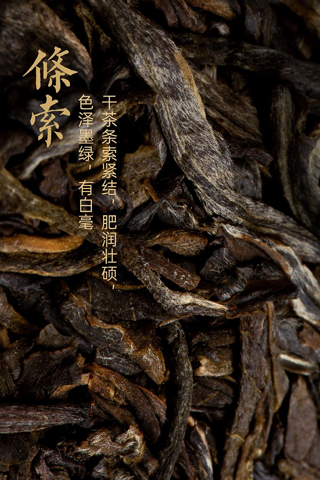 龙润茶楚兰普洱茶