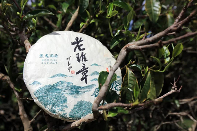 2020龙润茶老班章普洱茶