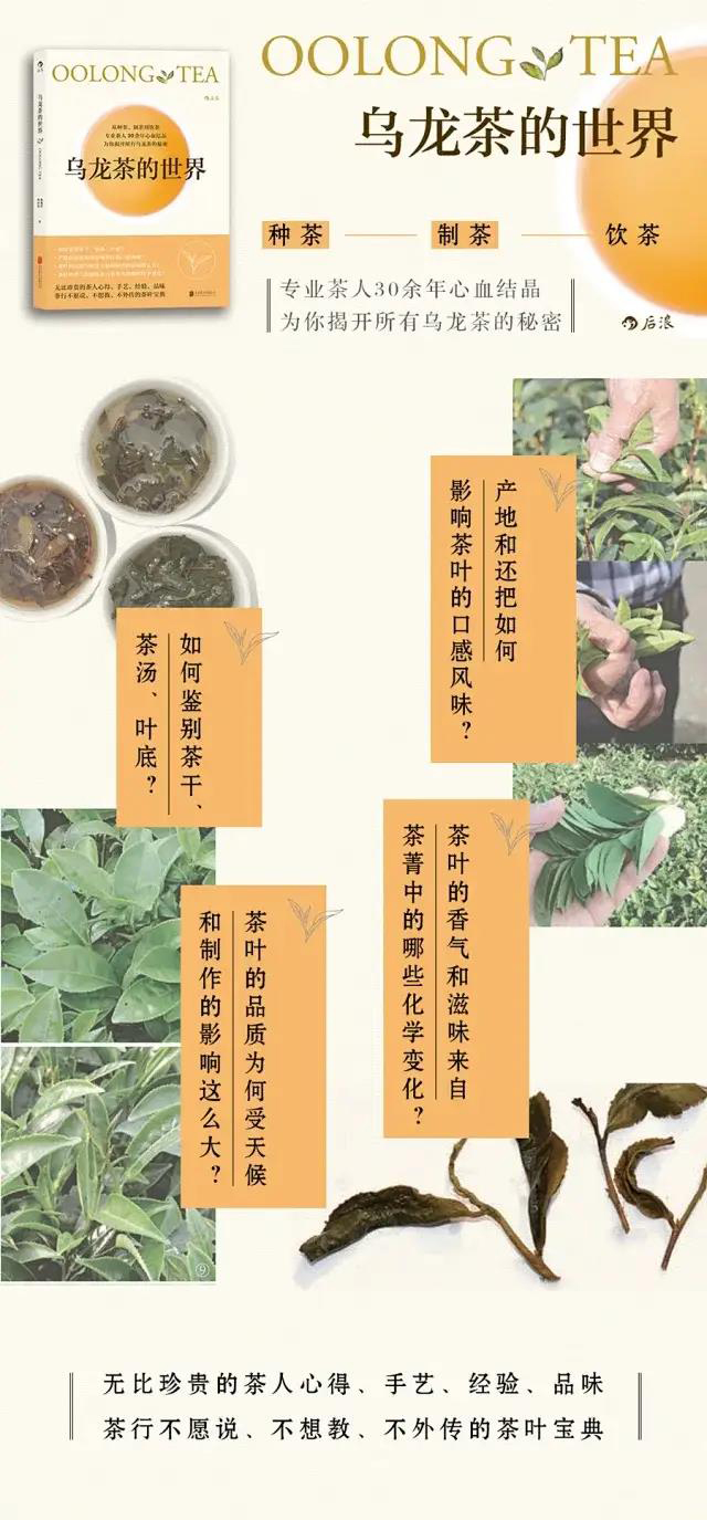 乌龙茶的世界