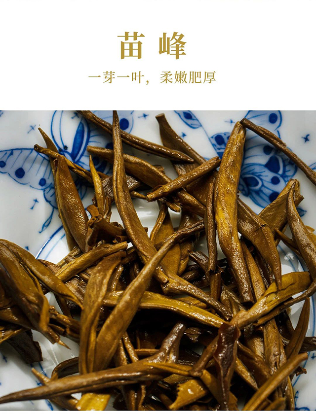 龙润茶大金芽