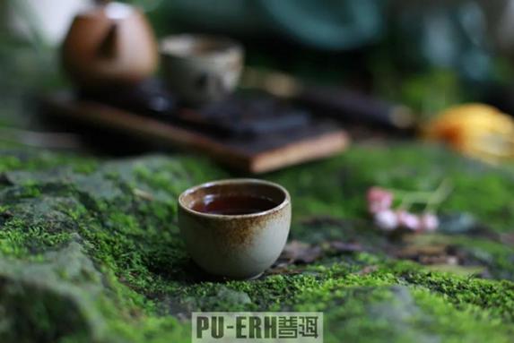 普洱杂志：你喝的茶饮中到底有多少茶？