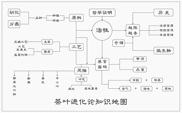 茶叶进化论知识地图中的原料