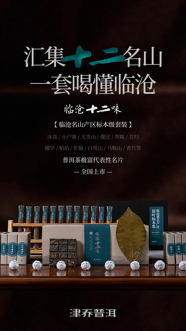 津乔普洱临沧十二味名山茶