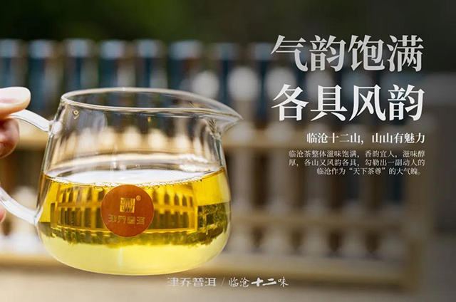 津乔普洱临沧十二味名山茶