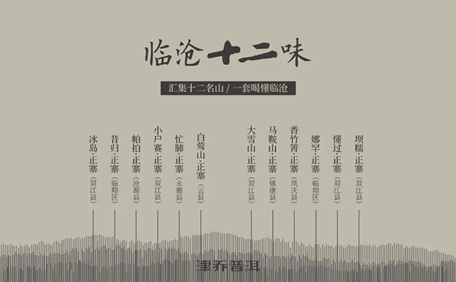 津乔普洱临沧十二味名山茶