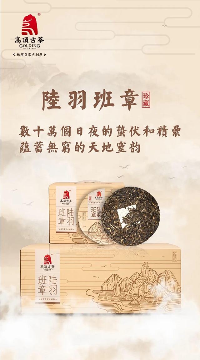 高顶古茶陆羽班章普洱茶