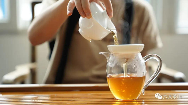 六大茶山普洱沱茶