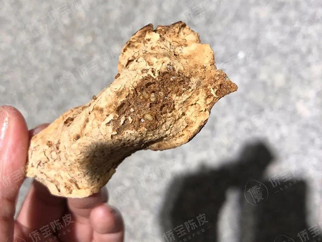 丽宫侨宝陈皮产业