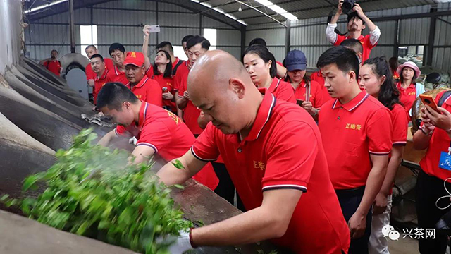 正皓茶皓品班章普洱茶