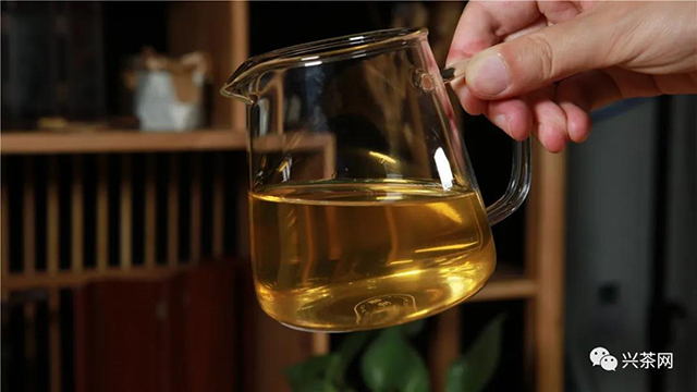福海茶厂2020款班章有机茶新品