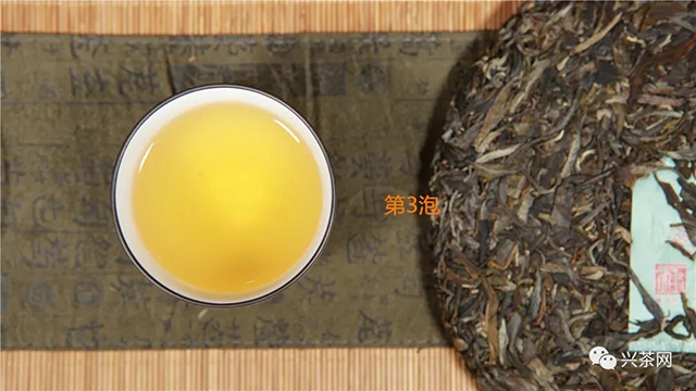 福海茶厂2020款班章有机茶新品