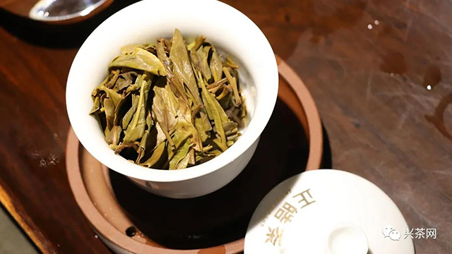 正皓茶皓品班章茶