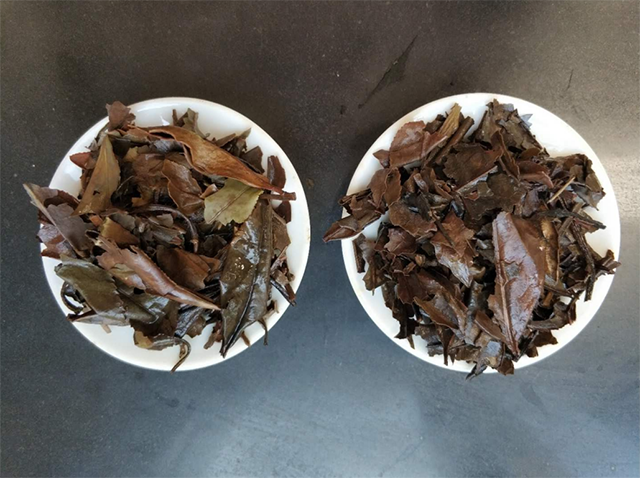 祥源茶老白茶