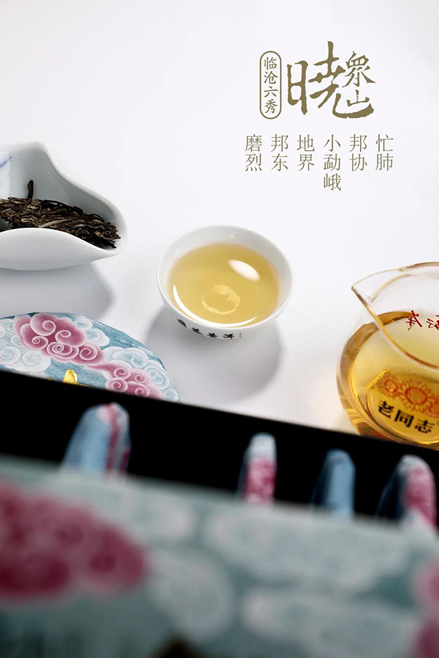 海湾茶业临沧六秀名山茶众山晓普洱茶