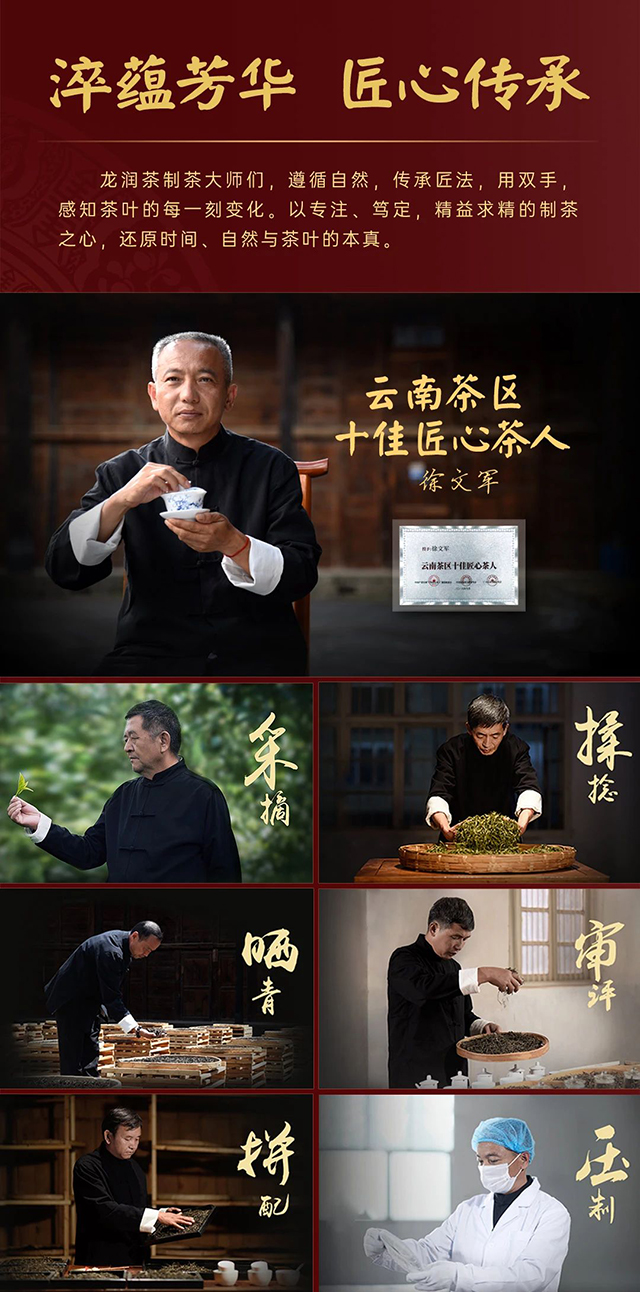 龙润茶826熟茶